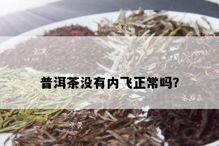 普洱茶没有内飞正常吗？