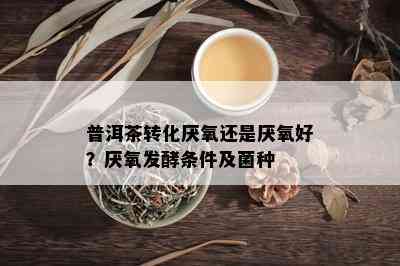 普洱茶转化厌氧还是厌氧好？厌氧发酵条件及菌种