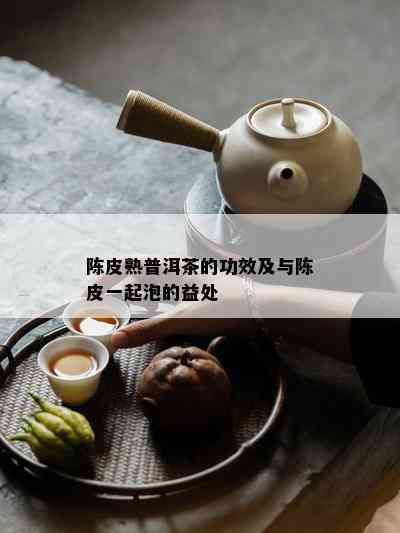 陈皮熟普洱茶的功效及与陈皮一起泡的益处