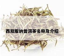 西双版纳普洱茶名称及介绍