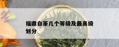 福鼎白茶几个等级及更高级划分