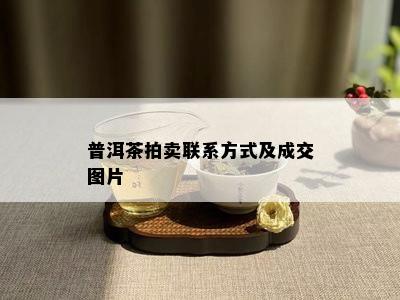 普洱茶拍卖联系方式及成交图片