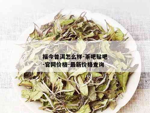 福今普洱怎么样-茶吧贴吧-官网价格-最新价格查询