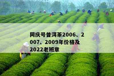 同庆号普洱茶2006、2007、2009年价格及2022老班章