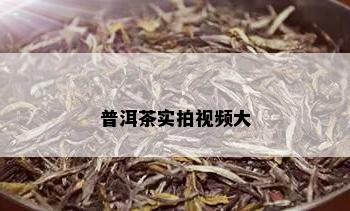 普洱茶实拍视频大