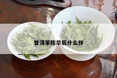 普洱茶陈华后什么样