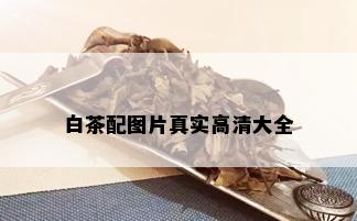 白茶配图片真实高清大全