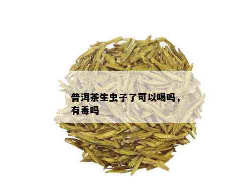 普洱茶生虫子了可以喝吗，有吗