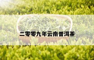 二零零九年云南普洱茶