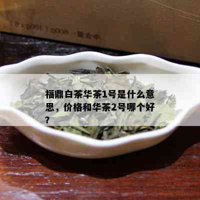 福鼎白茶华茶1号是什么意思，价格和华茶2号哪个好？