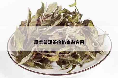 厚华普洱茶价格查询官网