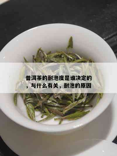 普洱茶的耐泡度是谁决定的，与什么有关，耐泡的原因