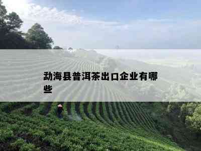 勐海县普洱茶出口企业有哪些