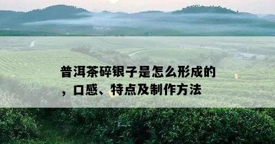 普洱茶碎银子是怎么形成的，口感、特点及制作方法