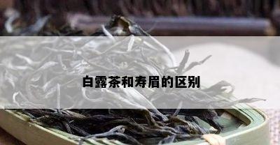 白露茶和寿眉的区别