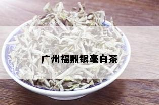 广州福鼎银毫白茶