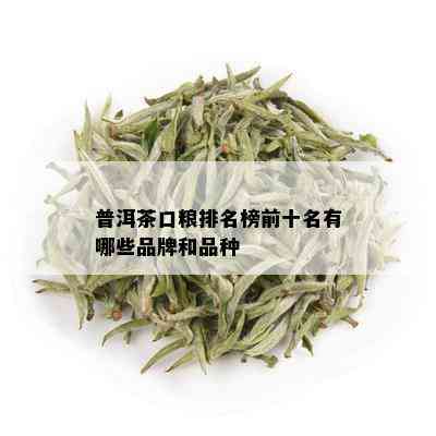 普洱茶口粮排名榜前十名有哪些品牌和品种