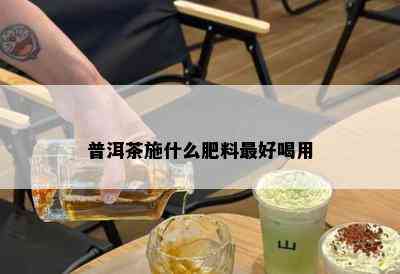 普洱茶施什么肥料更好喝用