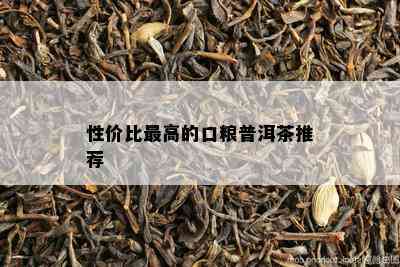 性价比更高的口粮普洱茶推荐