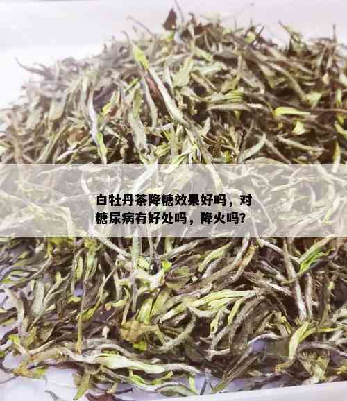 白牡丹茶降糖效果好吗，对糖尿病有好处吗，降火吗？