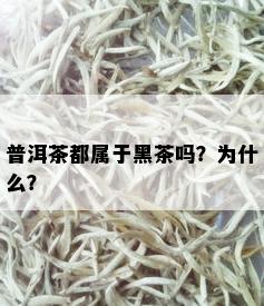 普洱茶都属于黑茶吗？为什么？