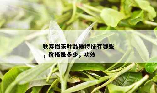 秋寿眉茶叶品质特征有哪些，价格是多少，功效