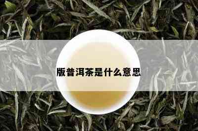 版普洱茶是什么意思