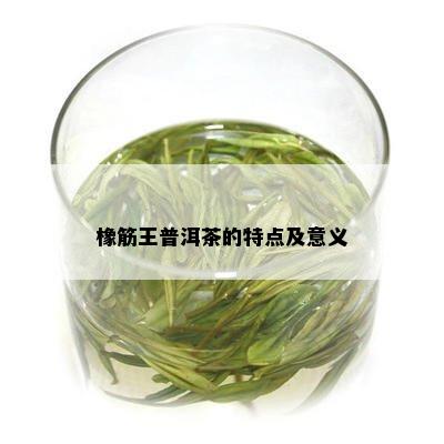 橡筋王普洱茶的特点及意义