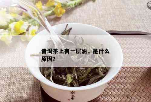 普洱茶上有一层油，是什么原因？