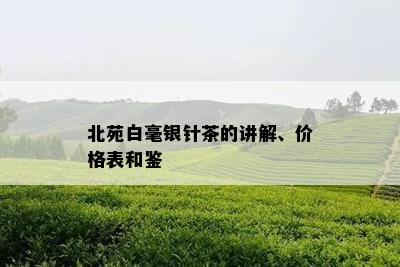 北苑白毫银针茶的讲解、价格表和鉴