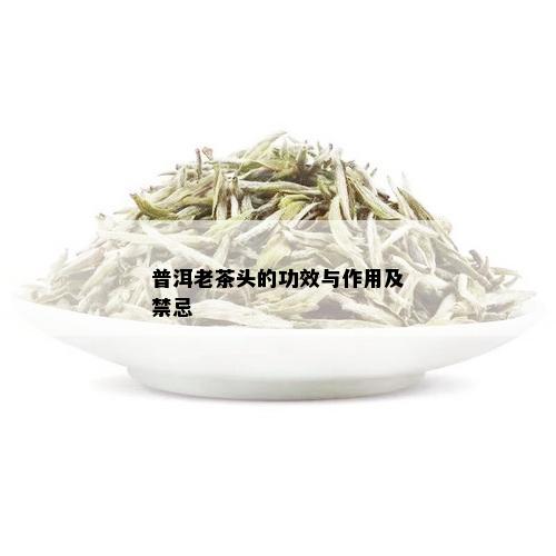 普洱老茶头的功效与作用及禁忌