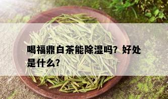 喝福鼎白茶能除湿吗？好处是什么？