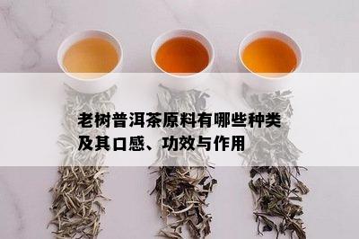 老树普洱茶原料有哪些种类及其口感、功效与作用