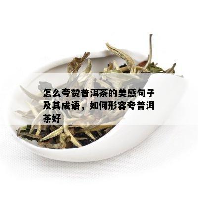 怎么夸赞普洱茶的美感句子及其成语，如何形容夸普洱茶好