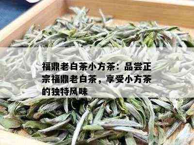 福鼎老白茶小方茶：品尝正宗福鼎老白茶，享受小方茶的独特风味