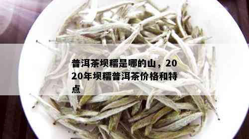 普洱茶坝糯是哪的山，2020年坝糯普洱茶价格和特点