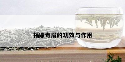 福鼎寿眉的功效与作用