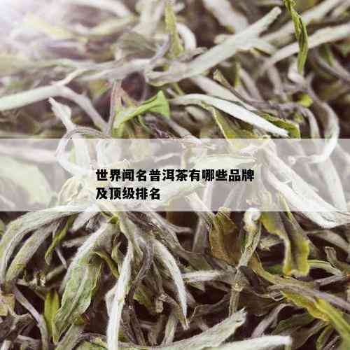 世界闻名普洱茶有哪些品牌及顶级排名