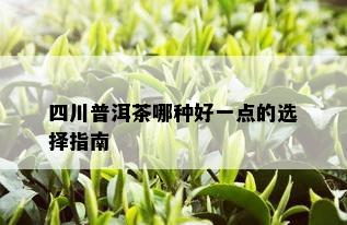 四川普洱茶哪种好一点的选择指南