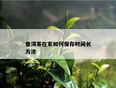 普洱茶在家如何保存时间长方法