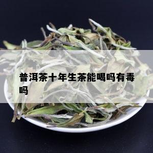 普洱茶十年生茶能喝吗有吗