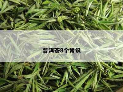 普洱茶8个常识