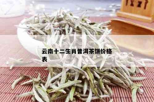 云南十二生肖普洱茶饼价格表