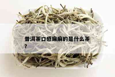 普洱茶口感麻麻的是什么茶？