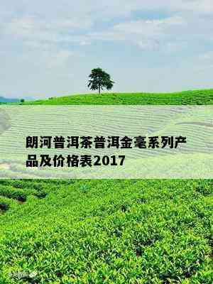 朗河普洱茶普洱金毫系列产品及价格表2017