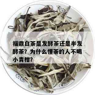 福鼎白茶是发酵茶还是半发酵茶？为什么懂茶的人不喝小青柑？