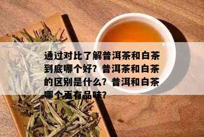 通过对比了解普洱茶和白茶到底哪个好？普洱茶和白茶的区别是什么？普洱和白茶哪个更有品味？