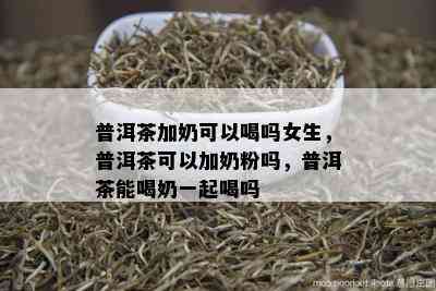 普洱茶加奶可以喝吗女生，普洱茶可以加奶粉吗，普洱茶能喝奶一起喝吗