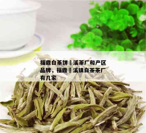 福鼎白茶饼磻溪茶厂和产区品牌，福鼎磻溪镇白茶茶厂有几家