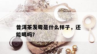 普洱茶发霉是什么样子，还能喝吗？